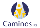 fundacion caminos logo